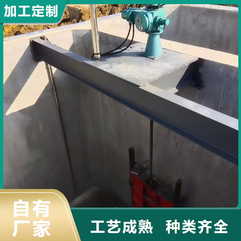 QLSD-80kn螺杆式手电两用启闭机源头供应商