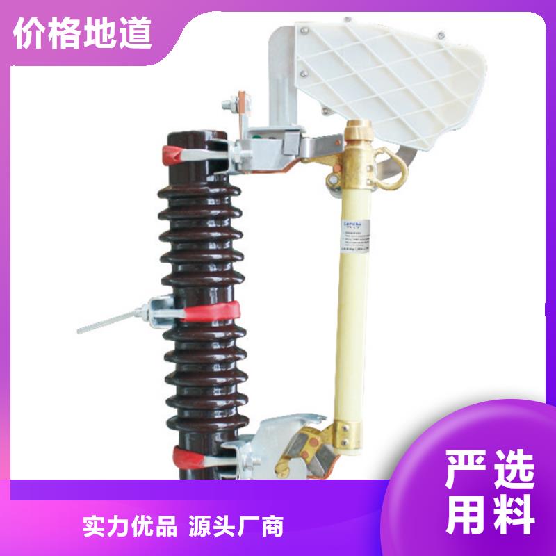 熔断器 高压支柱绝缘子严选好货