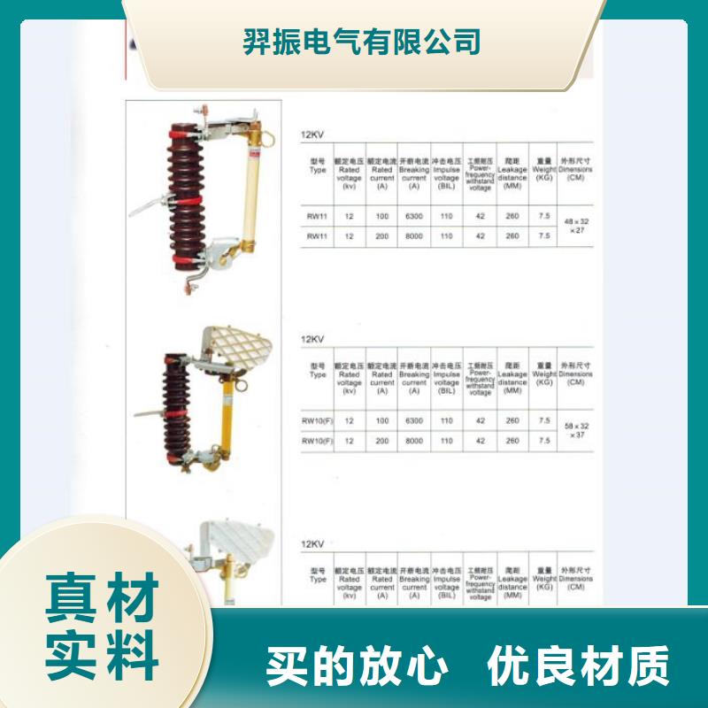 熔断器 双电源真空断路器现货齐全售后无忧