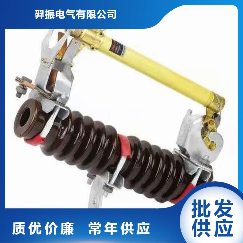 熔断器高压负荷开关讲信誉保质量