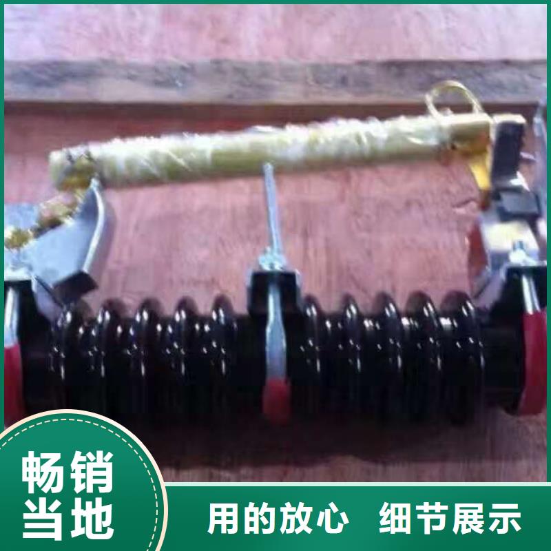 熔断器金属氧化物避雷器好品质用的放心