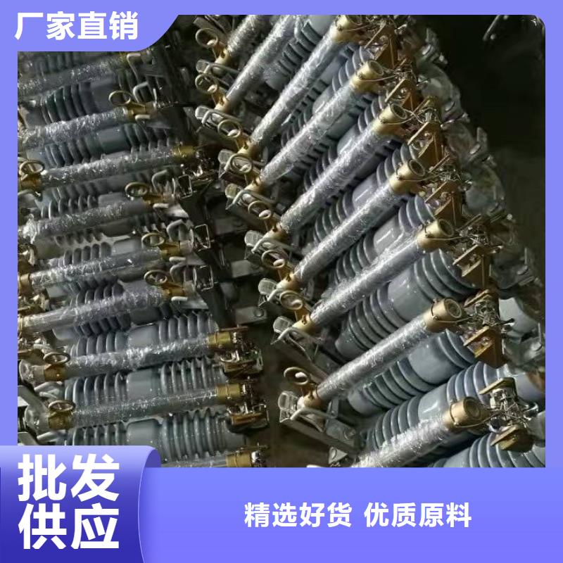 熔断器 高压支柱绝缘子严选好货