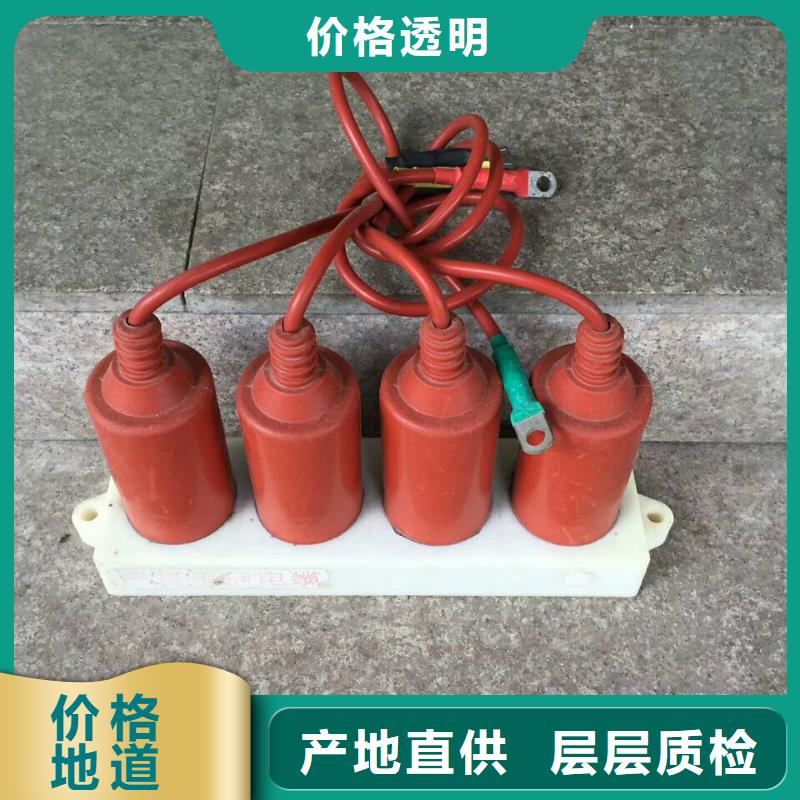 定金锁价过电压保护器真空断路器买的放心安兴用的舒心-本地用心做品质_产品中心