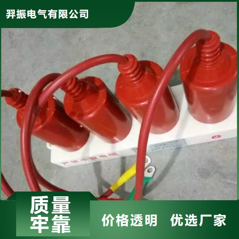 【一周内发货 过电压保护器 真空断路器库存齐全厂家直供】在有卖的吗