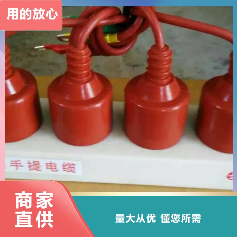 【一周内发货 过电压保护器 真空断路器库存齐全厂家直供】在有卖的吗