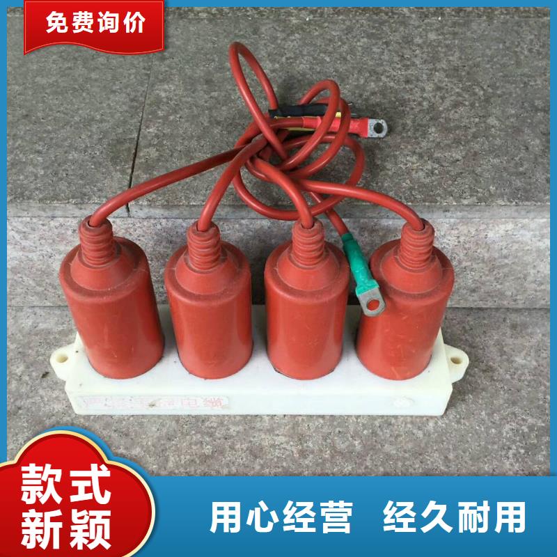 细节严格凸显品质【型号齐全过电压保护器高压隔离开关为品质而生产】电话地址