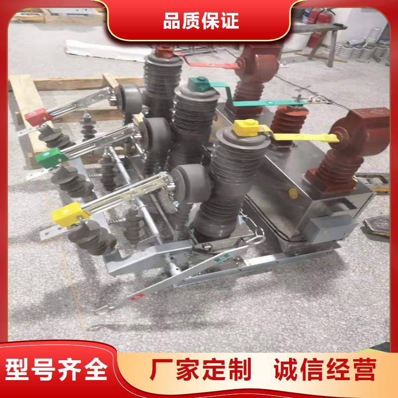 羿振质量看得见【ZW32真空断路器】-隔离开关厂家老品牌厂家、精工细作品质优良-【当地】经销商