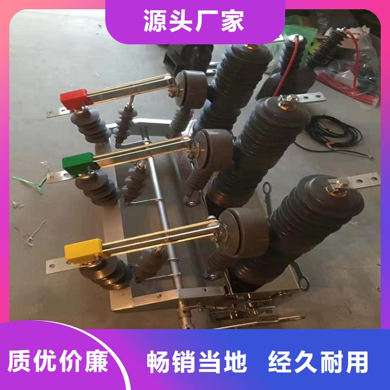 羿振实力商家供货稳定ZW32真空断路器跌落式熔断器来图加工定制产地工厂