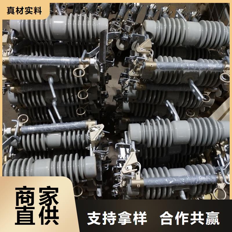 【熔断器】-支柱绝缘子细节展示