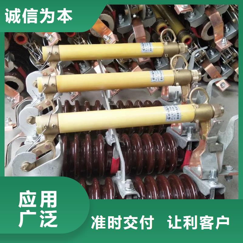 熔断器户外高压断路器极速发货