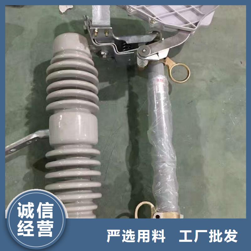 【熔断器金属氧化物避雷器诚信商家】