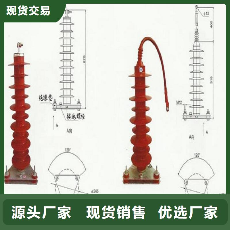 今年新款严谨工艺避雷器绝缘子厂家质量看得见