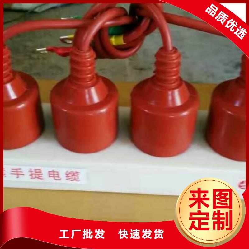玻璃绝缘子-视频-青海省果洛市羿振玻璃绝缘子可服务区域海西|玉树|海南|海北|黄南|西宁|海东等