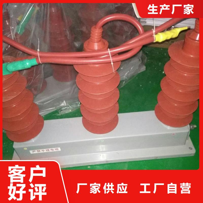 物美价优过电压保护器跌落式熔断器自主研发<当地>公司