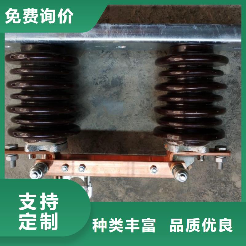 本地 【羿振】【厂诚信经营GW9隔离开关 绝缘子专心专注专业】