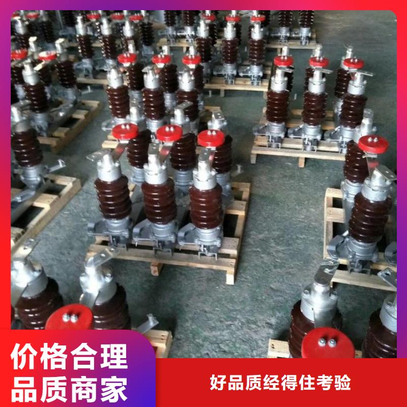 【羿振】【细节决定成败 GW4 GW5_真空断路器可放心采购】-交货准时
