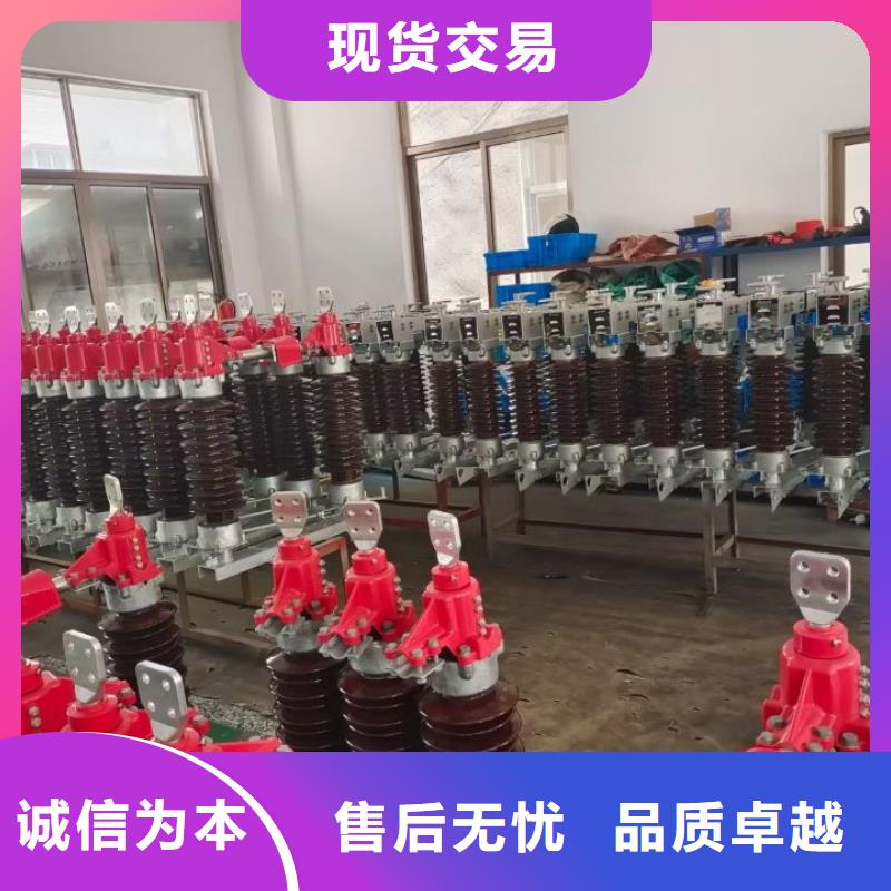 【羿振】【细节决定成败 GW4 GW5_真空断路器可放心采购】-交货准时