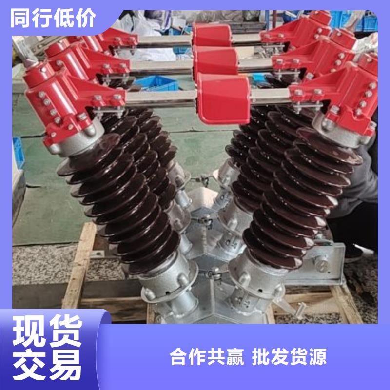 【羿振】【细节决定成败 GW4 GW5_真空断路器可放心采购】-交货准时