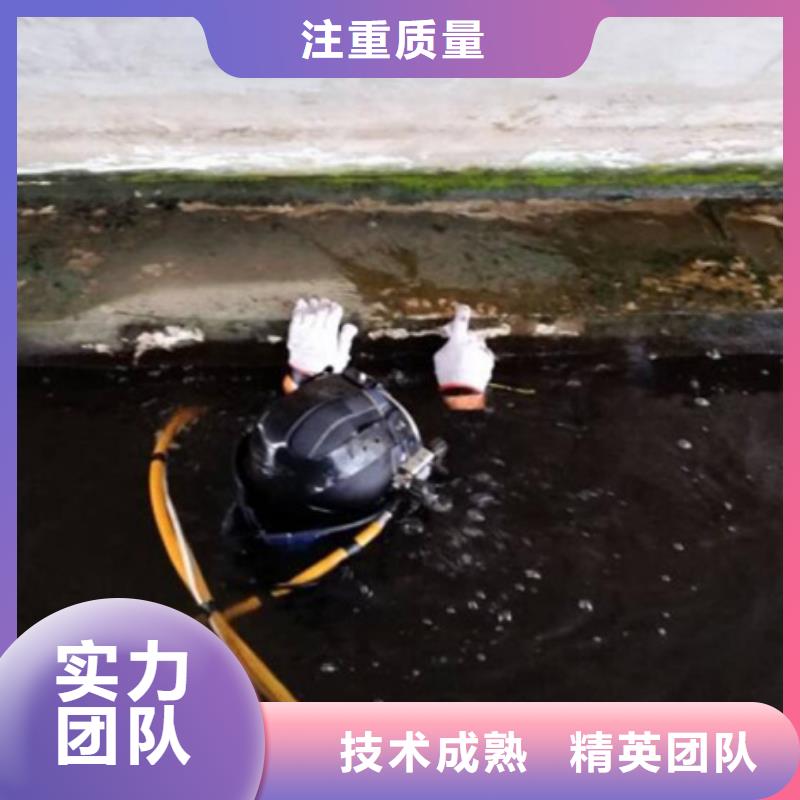 水下_潜水录像拍照价格公道