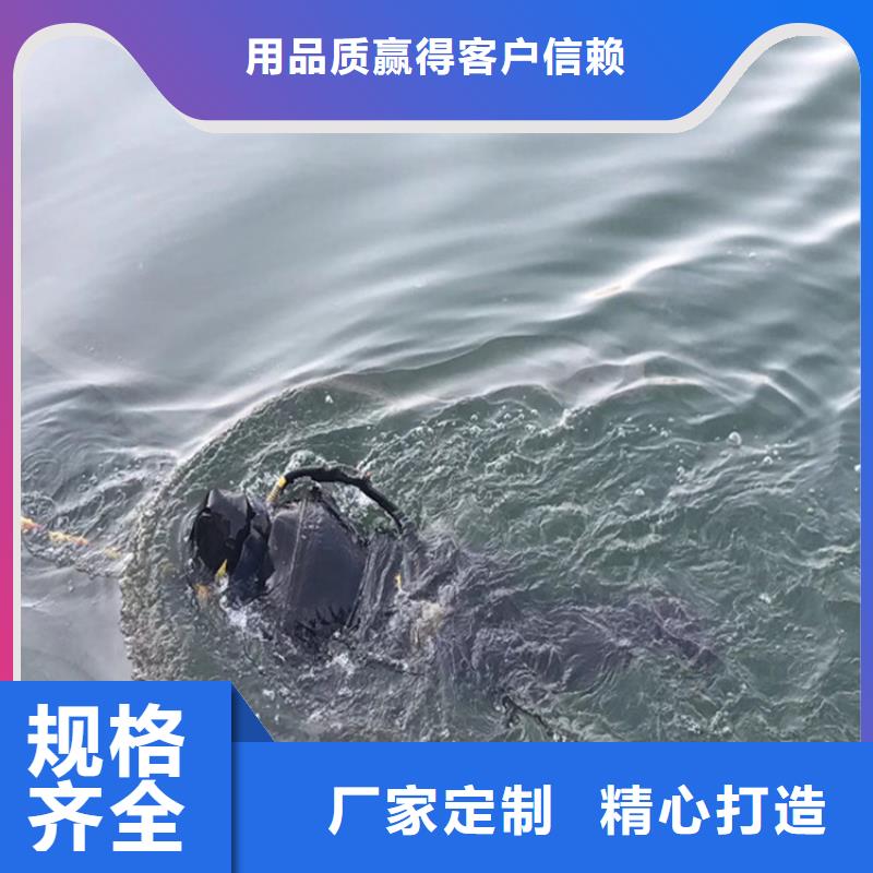 水下打捞-视频-楚雄市水下打捞-云南省楚雄市双柏|牟定|德宏|丽江|迪庆|西双版纳|玉溪|保山(同城)制造商