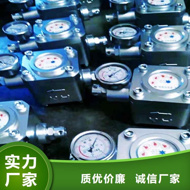 支持大小批量采购 煤层注水表_【顶板离层仪】厂家技术完善_同城报价