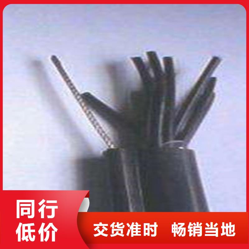信号电缆视频-四川省|甘孜|绵阳|雅安|遂宁|宜宾信号电缆-电缆