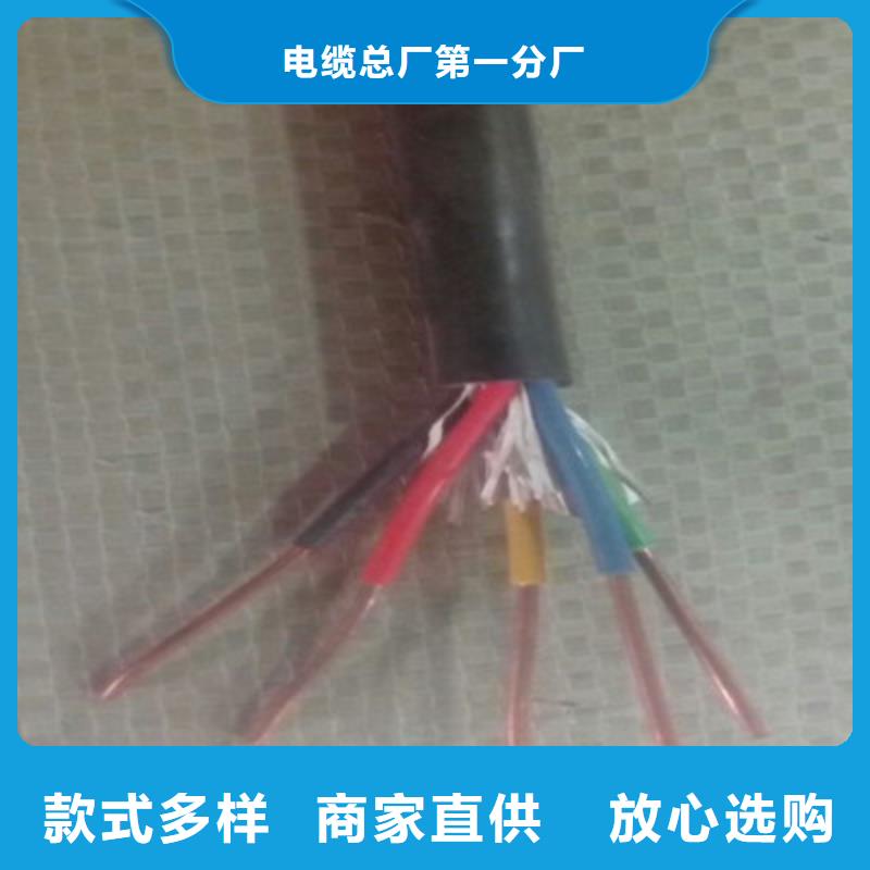 特种电缆控制电缆按需定做