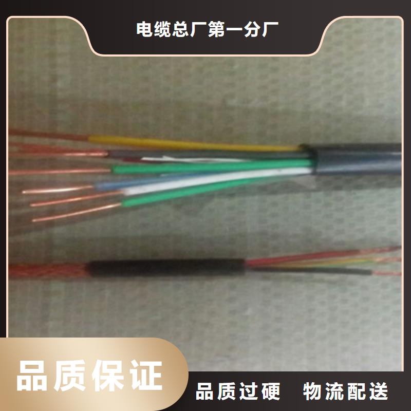 特种电缆控制电缆按需定做