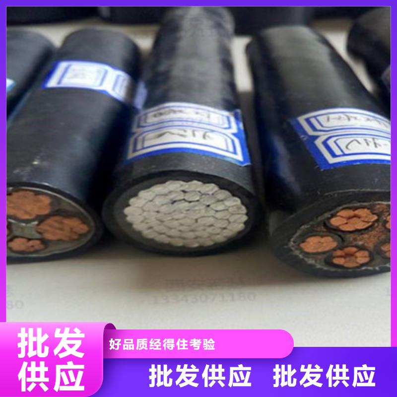 信号电缆-视频-甘肃省平凉市|静宁|灵台|临夏|金昌|定西|兰州|天水|嘉峪关|甘南信号电缆-电缆