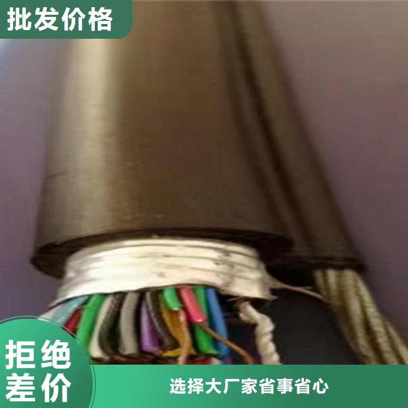 信号电缆-视频-四川省宜宾市|高县|翠屏|资阳|自贡|成都|内江|雅安|巴中信号电缆-电缆