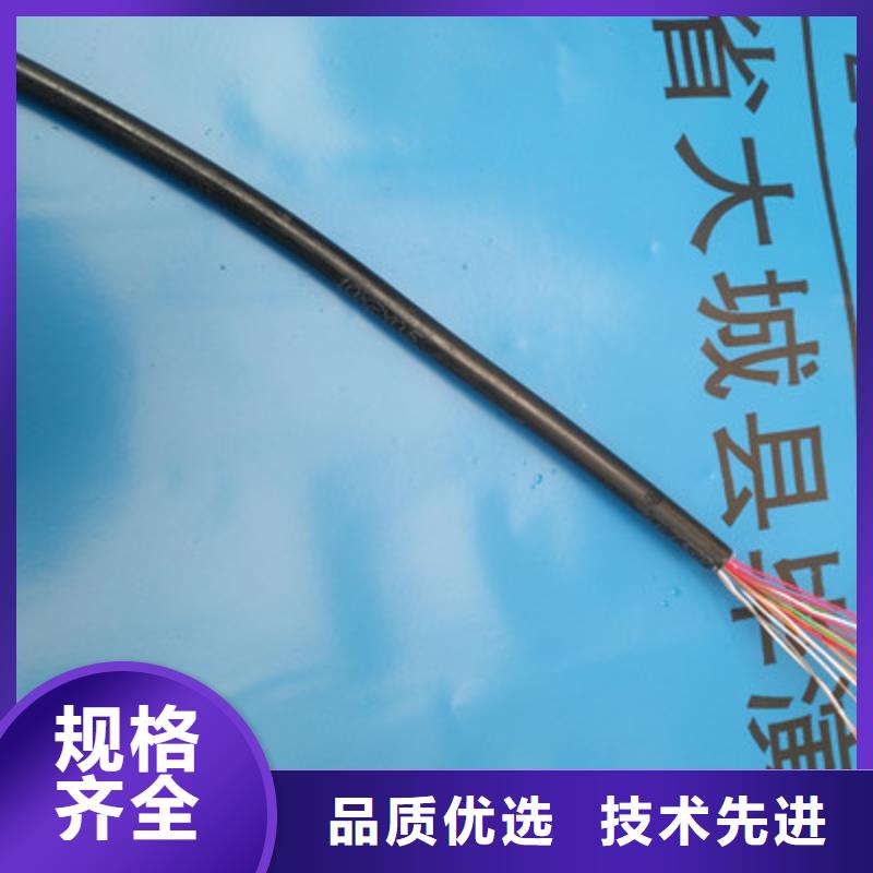 通信电缆,屏蔽电缆懂您所需