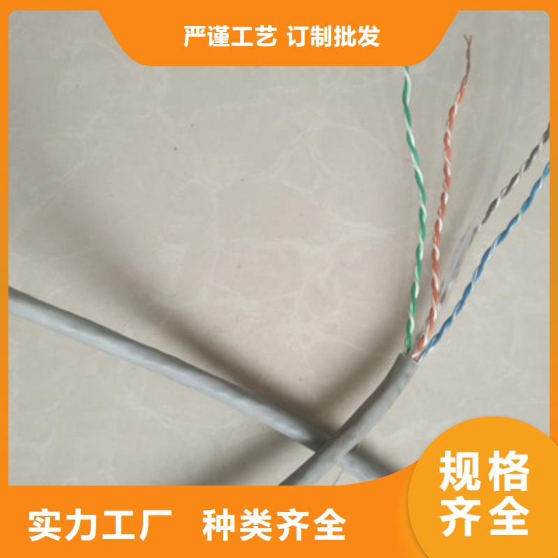 通信电缆屏蔽电缆重信誉厂家