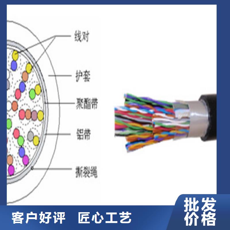 信号电缆-视频-四川省宜宾市|高县|翠屏|资阳|自贡|成都|内江|雅安|巴中信号电缆-电缆