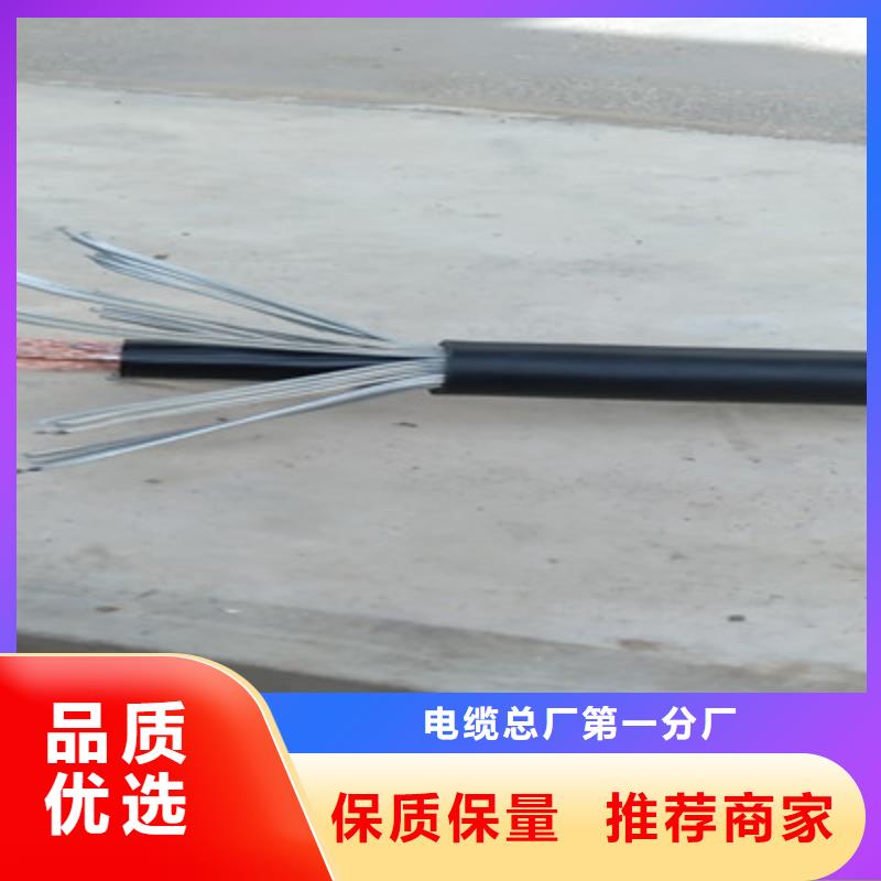 计算机电缆-信号电缆品种全