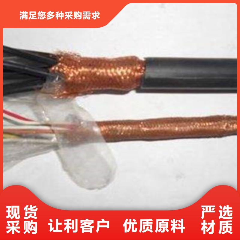 信号电缆-视频-西林|靖西|崇左|防城港|桂林|来宾|钦州信号电缆质优价保-电缆总厂分厂(百色市分公司)