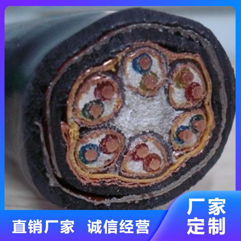 计算机电缆屏蔽电缆专业按需定制