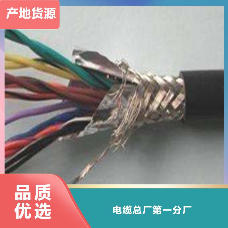 信号电缆-视频-西林|靖西|崇左|防城港|桂林|来宾|钦州信号电缆质优价保-电缆总厂分厂(百色市分公司)
