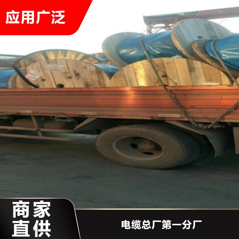 信号电缆-视频-西林|靖西|崇左|防城港|桂林|来宾|钦州信号电缆质优价保-电缆总厂分厂(百色市分公司)