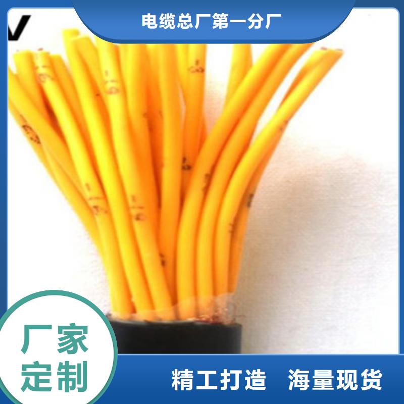 信号电缆-视频-信号电缆-电缆总厂分厂(广元市分公司)服务区域旺苍|元坝|遂宁|阿坝|乐山|广安|内江