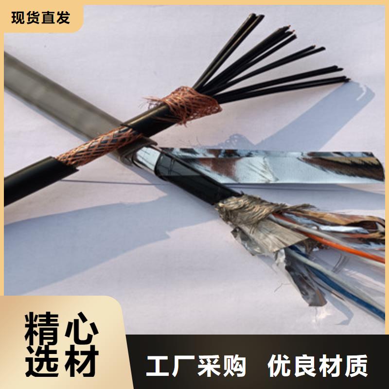 信号电缆-视频-滨城|惠民|枣庄|淄博|烟台|聊城信号电缆价格地道-电缆总厂分厂(滨州市分公司)