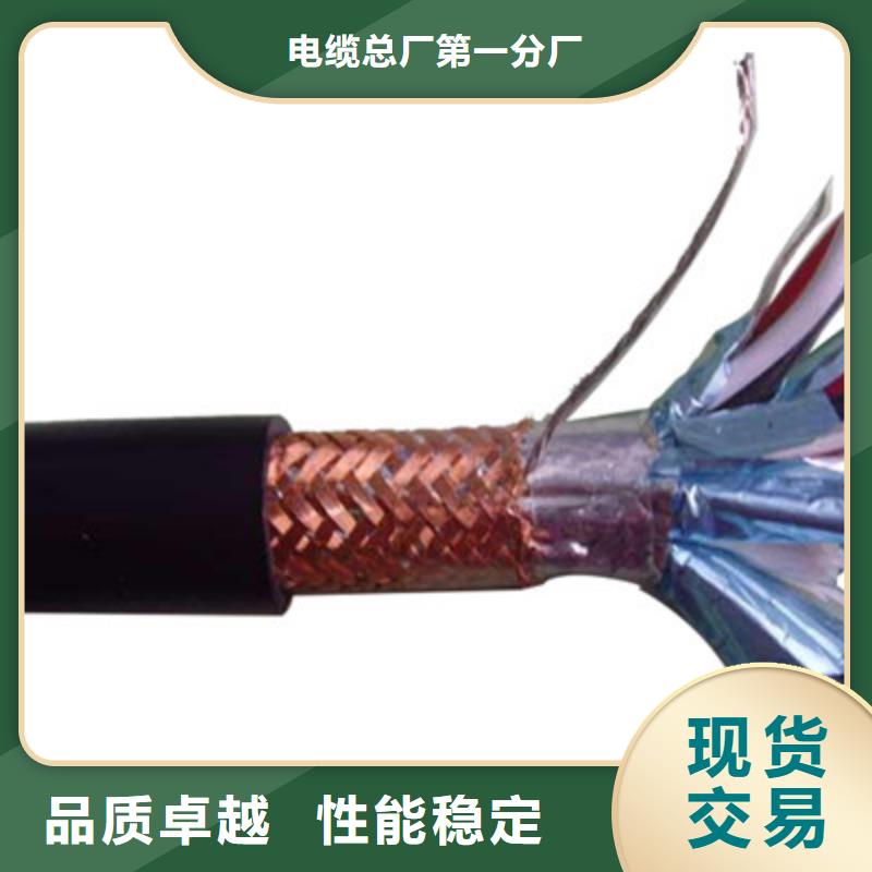 信号电缆-视频-滨城|惠民|枣庄|淄博|烟台|聊城信号电缆价格地道-电缆总厂分厂(滨州市分公司)