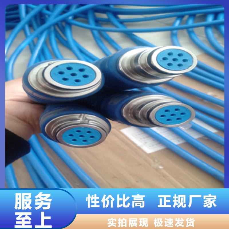 信号电缆-视频-武隆|黔江|渝北|綦江电缆信号电缆_ 电缆总厂分厂(重庆市分公司)