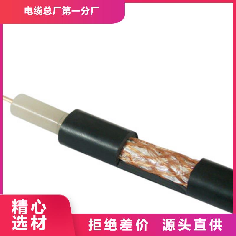 信号电缆视频-信号电缆|山东省泰安市|新泰|泰山|东营|青岛|日照|威海|菏泽|济南