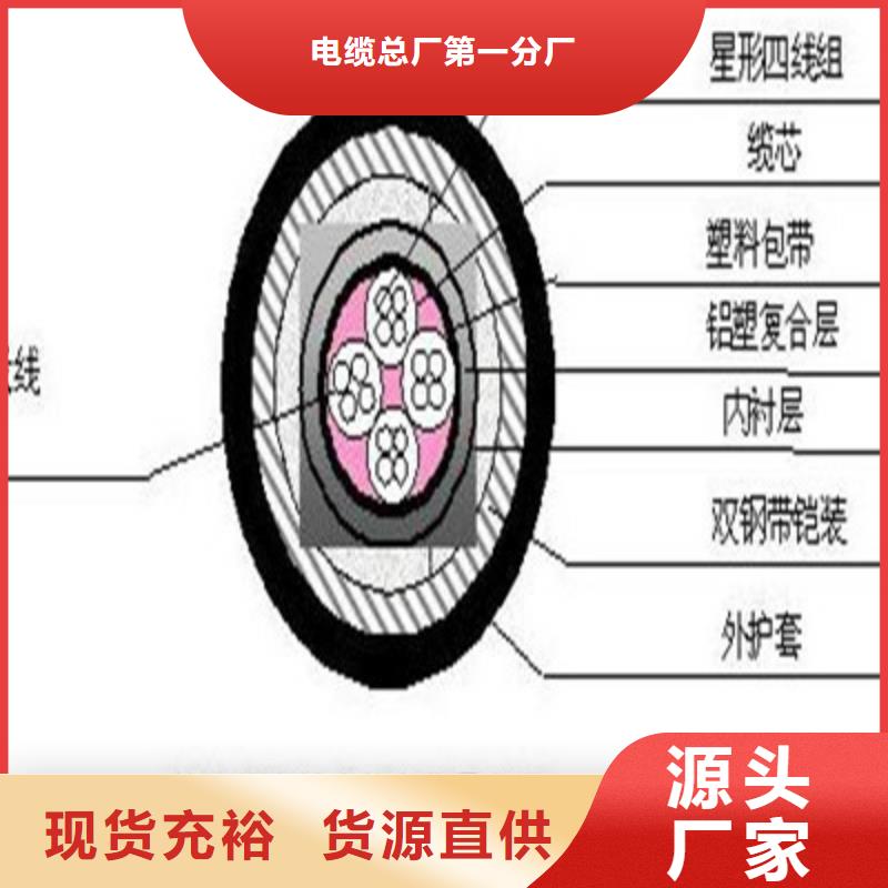 铁路信号电缆-信号电缆工期短发货快