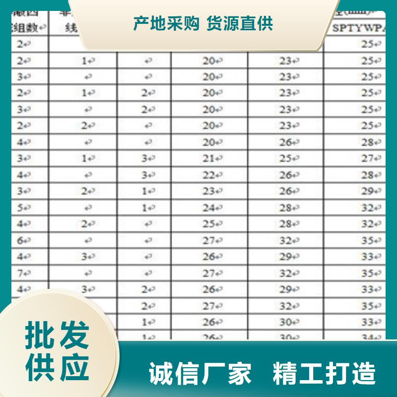 铁路信号电缆【屏蔽电缆】源头实体厂商