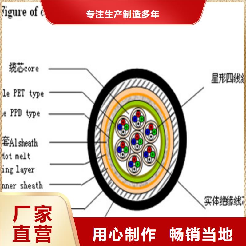 【铁路信号电缆屏蔽电缆生产安装】