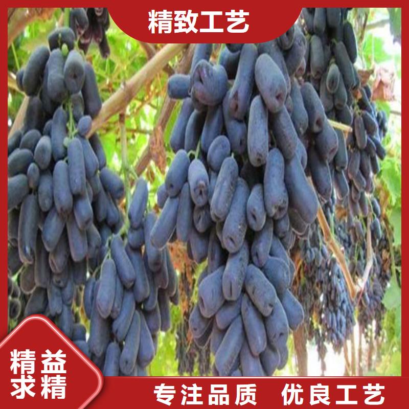 草莓-视频-大新|凭祥|防城港|贵港|桂林|来宾|南宁|百色|梧州广祥草莓_ 广祥农业科技(崇左市分公司)