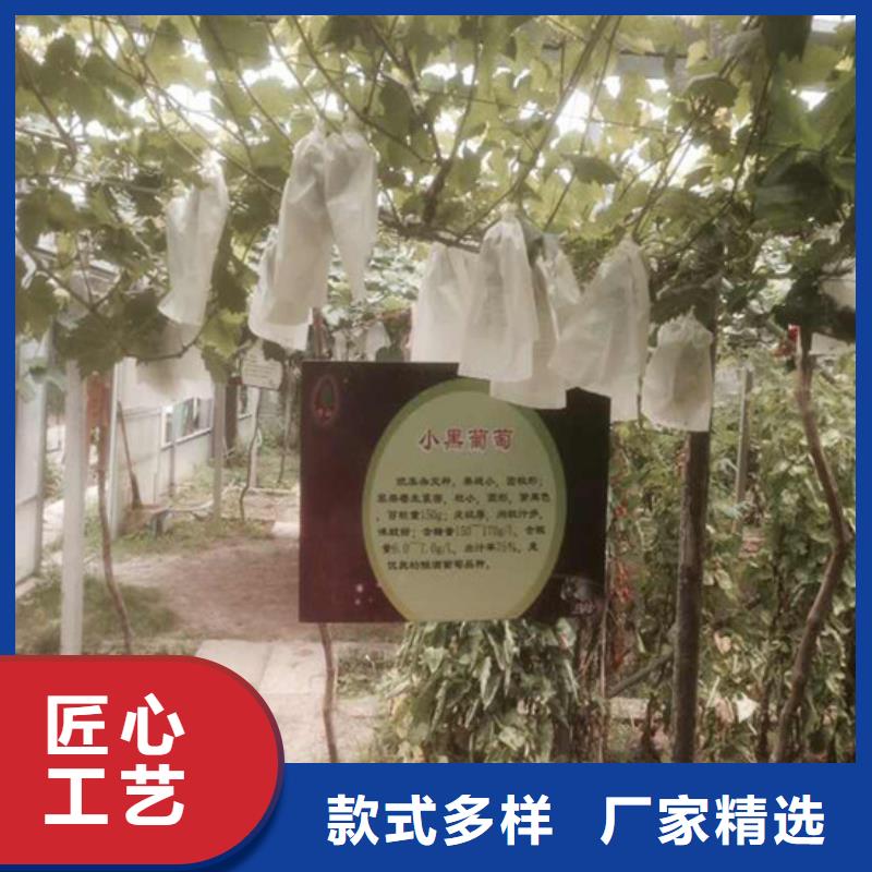 草莓-视频-大新|凭祥|防城港|贵港|桂林|来宾|南宁|百色|梧州广祥草莓_ 广祥农业科技(崇左市分公司)