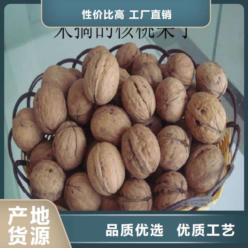 核桃苗白桃树苗海量现货直销