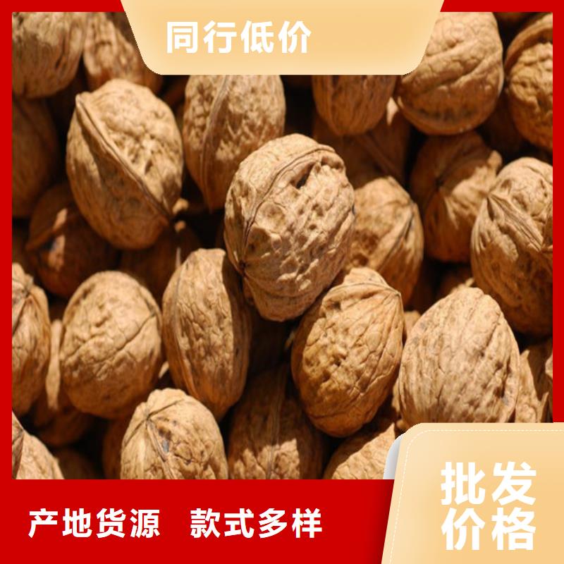 核桃苗苹果苗原厂制造